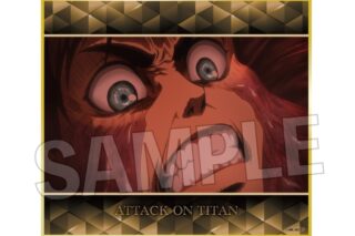 進撃の巨人 色紙 14
 
2025年09月発売