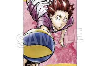 ハイキュー!! 激闘!!ペーパースタンド 天童 覚
 
2025年09月発売
で取扱中