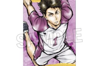 ハイキュー!! 激闘!!ペーパースタンド 牛島若利
 
2025年09月発売
で取扱中
