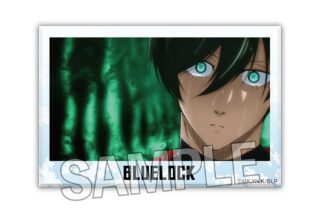ブルーロック 積み積みブロック 18
 
2024年04月発売
で取扱中