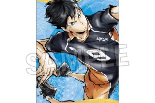 ハイキュー!! 激闘!!ペーパースタンド 影山飛雄
 
2025年09月発売
で取扱中