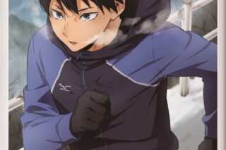 ハイキュー!! バボカ!! BREAK DXカードスリーブ Vol.1影山 飛雄
 
2025年10月25日発売