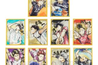 ハイキュー!! 激闘!!トレーディングアクリル色紙プレミアム
 
2025年09月発売
で取扱中