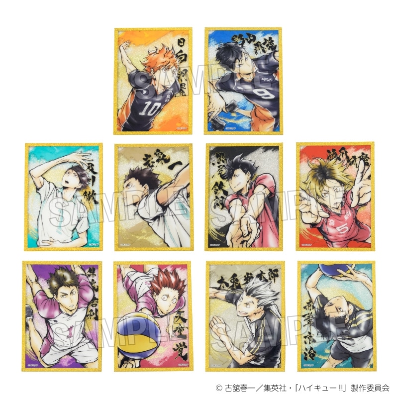 ハイキュー!! 激闘!!トレーディングアクリル色紙プレミアム
 
2025年09月発売
で取扱中