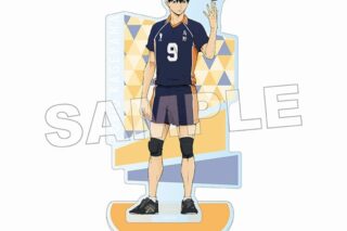 ハイキュー!! アクリルスタンド パターンアート(影山飛雄)
 アニメイトで
2025年06月発売
