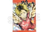 ハイキュー!! 激闘!!スタパネ 孤爪研磨
 
2025年09月発売
で取扱中