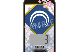 刀剣乱舞ONLINE 3Dセンサー搭載歩数計 刀剣乱舞ONLINEモデル 三日月宗近
 
2025年4月19日発売