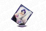 TVアニメ『ブルーロック』 カード型アクリルスタンド PALE TONE series 御影玲王 Frame ver.
 
2025年08月発売
で取扱中