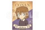 名探偵コナン 硬質カードケース(カード付) クラシカル 灰原 哀
 
2025年09月下旬発売