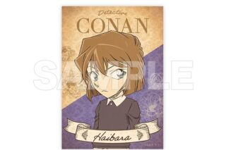 名探偵コナン 硬質カードケース(カード付) クラシカル 灰原 哀
 
2025年09月下旬発売