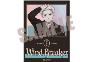 ウィンドブレイカー (ウィンブレ) オーロラステッカー 梅宮 一 Dress up ver.
 
2025年10月中旬発売