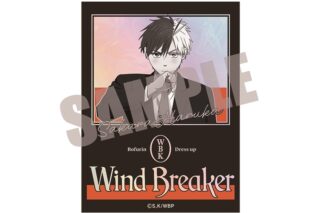 ウィンドブレイカー (ウィンブレ) オーロラステッカー 桜 遥 Dress up ver.
 
2025年10月中旬発売