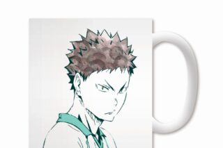 ハイキュー!! Ani-Artマグカップ(岩泉一)【再販】
 
2025年9月17日発売