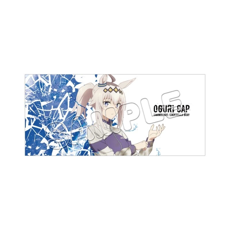 アニメウマ娘 シンデレラグレイ スポーツタオル オグリキャップ
 
2025年09月発売
 【アニメイト】