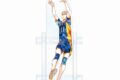 ハイキュー!! 月島蛍 Ani-Art アクリルペンスタンド【再販】
 
2025年9月17日発売
で取扱中
