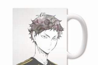 ハイキュー!! Ani-Artマグカップ(赤葦京治)【再販】
 
2025年9月17日発売
で取扱中