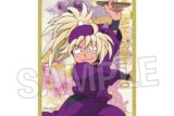忍たま乱太郎 アクリル色紙プレミアム 17
 
2025年09月発売
