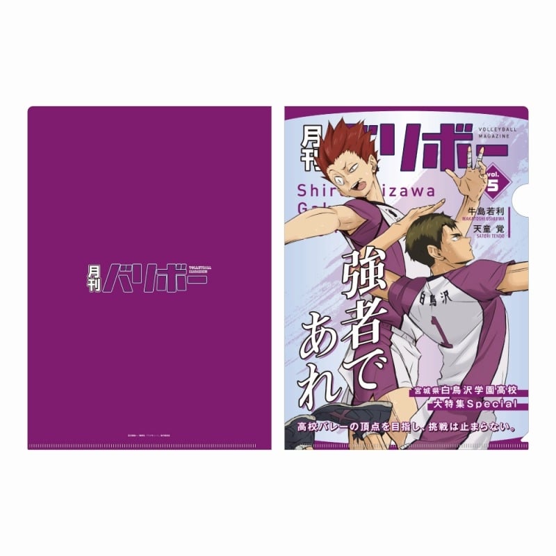 ハイキュー!! A4クリアファイル 月刊バリボーvol.5(白鳥沢学園高校)
 
2025年08月下旬発売