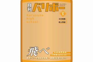ハイキュー!! ポーチ 月刊バリボーvol.1(烏野高校)
 
2025年08月下旬発売