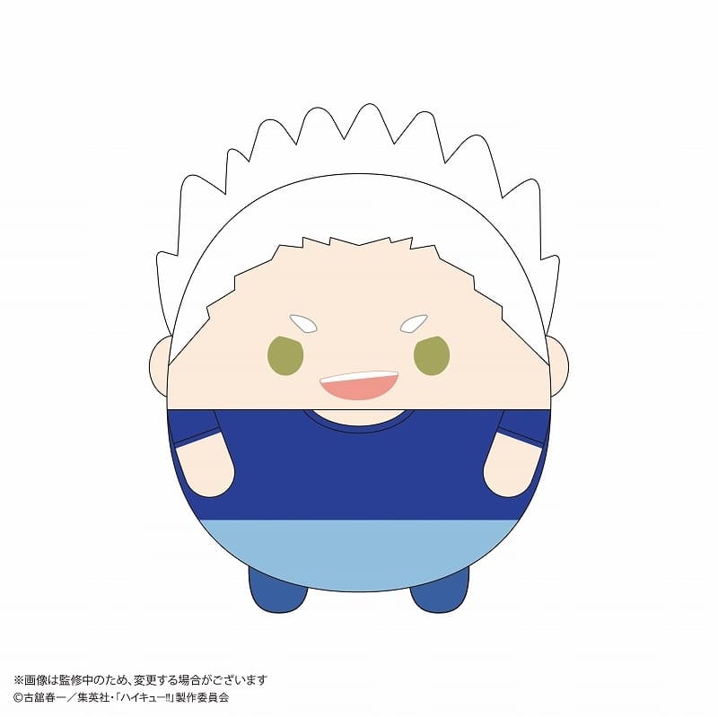ハイキュー!! ふわコロりんMsize10 C:星海 光来
 アニメイトで
2025年03月発売
