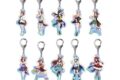 ウマ娘 プリティーダービー オーロラアクリルキーホルダーF BOX
 
2025年11月発売
 【アニメイト】