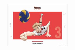 『劇場版ハイキュー!! ゴミ捨て場の決戦』 夜久衛輔 A3マット加工ポスター【再販】
 
2025年9月17日発売
で取扱中