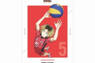 『劇場版ハイキュー!! ゴミ捨て場の決戦』 孤爪研磨 A3マット加工ポスター【再販】
 
2025年9月17日発売
で取扱中