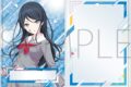 プロセカ 硬質カードケース/リニューアルver.　星乃 一歌
 
2025年09月発売