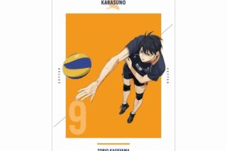『劇場版ハイキュー!! ゴミ捨て場の決戦』 影山飛雄 A3マット加工ポスター【再販】
 
2025年9月17日発売
で取扱中