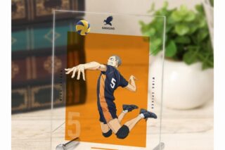 『劇場版ハイキュー!! ゴミ捨て場の決戦』 田中龍之介 A6アクリルパネル【再販】
 
2025年9月17日発売
で取扱中