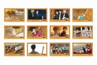 ハイキュー!! トレーディング箔押しクリアカード メモリアルコレクション SEASON.1 【全12種】
 アニメイトで
2025年02月発売
