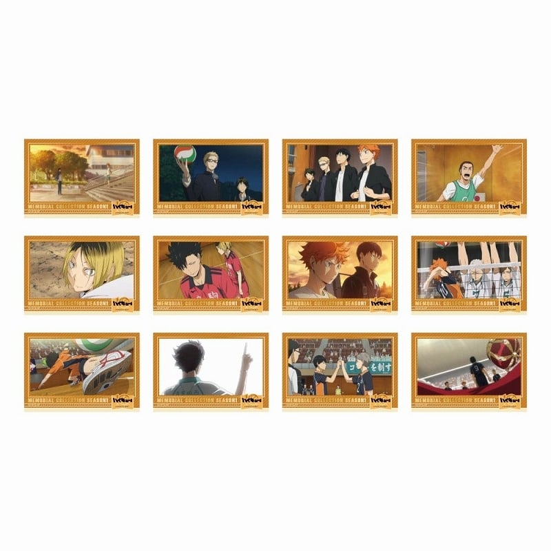 ハイキュー!! トレーディング箔押しクリアカード メモリアルコレクション SEASON.1 【全12種】
 アニメイトで
2025年02月発売