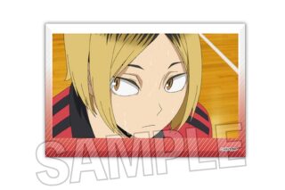 ハイキュー!! 積み積みブロック vol.5 20【再販】
 アニメイトで
2024年12月発売