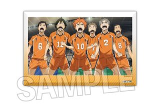 ハイキュー!! 積み積みブロック vol.5 13【再販】
 アニメイトで
2024年12月発売