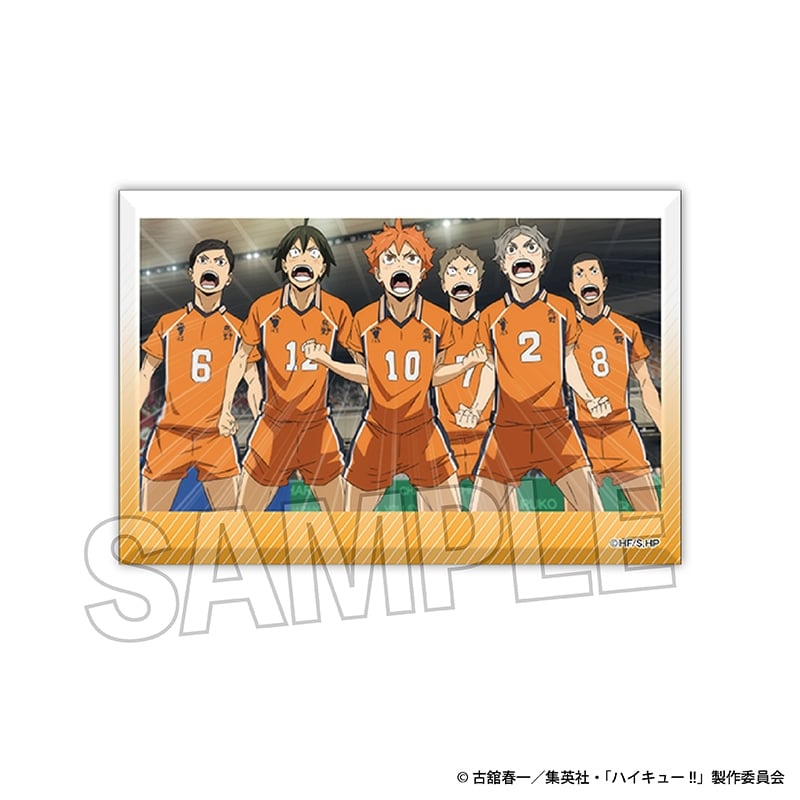 ハイキュー!! 積み積みブロック vol.5 13【再販】
 アニメイトで
2024年12月発売