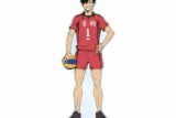 『劇場版ハイキュー!! ゴミ捨て場の決戦』 黒尾鉄朗 特大アクリルスタンド【再販】
 
2025年9月17日発売