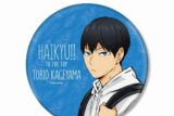 ハイキュー!! TO THE TOP × 東武動物公園 描き下ろしイラスト 影山飛雄 レジャーver. BIG缶バッジ【再販】
 
2025年6月17日発売
で取扱中