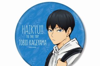 ハイキュー!! TO THE TOP × 東武動物公園 描き下ろしイラスト 影山飛雄 レジャーver. BIG缶バッジ【再販】
 
2025年6月17日発売
で取扱中