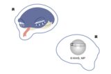 僕のヒーローアカデミア アニマルシリーズ サガラバッジ ダビヘビ
 
2025年10月17日発売
で取扱中