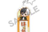 ウィンドブレイカー (ウィンブレ) トレーディングお名前アクリルキーホルダー ぷちクラ 10個入り1BOX     ホビーストックで2025年1月発売