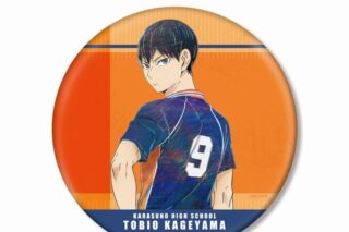 ハイキュー!! 影山飛雄 Ani-Art 第7弾 BIG缶バッジ【再販】
 
2025年6月17日発売
で取扱中