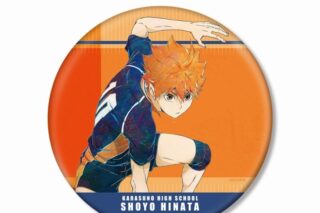 ハイキュー!! 日向翔陽 Ani-Art 第7弾 BIG缶バッジ【再販】
 
2025年6月17日発売