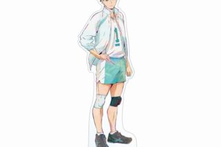 ハイキュー!! 及川徹 Ani-Art 第5弾 BIGアクリルスタンド【再販】
 
2025年6月17日発売