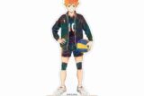 ハイキュー!! 日向翔陽 Ani-Art 第5弾 BIGアクリルスタンド【再販】
 
2025年6月17日発売
で取扱中