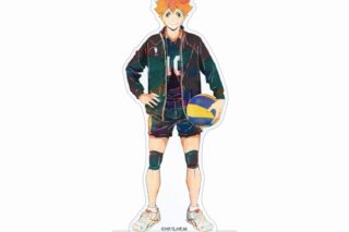 ハイキュー!! 日向翔陽 Ani-Art 第5弾 BIGアクリルスタンド【再販】
 
2025年6月17日発売
で取扱中