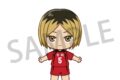 ハイキュー!! アクドール 孤爪 研磨
 アニメイトで
2025年03月上旬発売