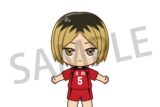 ハイキュー!! アクドール 孤爪 研磨
 アニメイトで
2025年03月上旬発売