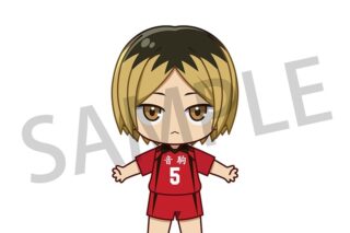 ハイキュー!! アクドール 孤爪 研磨
 アニメイトで
2025年03月上旬発売