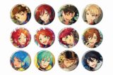あんさんぶるスターズ!! (あんスタ) コレクション缶バッジ[2025 Jul.]-Idol Side-
 
2025年10月24日発売