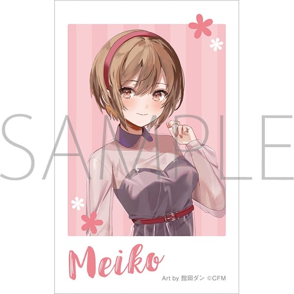 初音ミクシリーズ チェキプリント/レジャフェス　E　MEIKO
 
2025年10月3日発売
